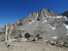 MineralKingLoop 209